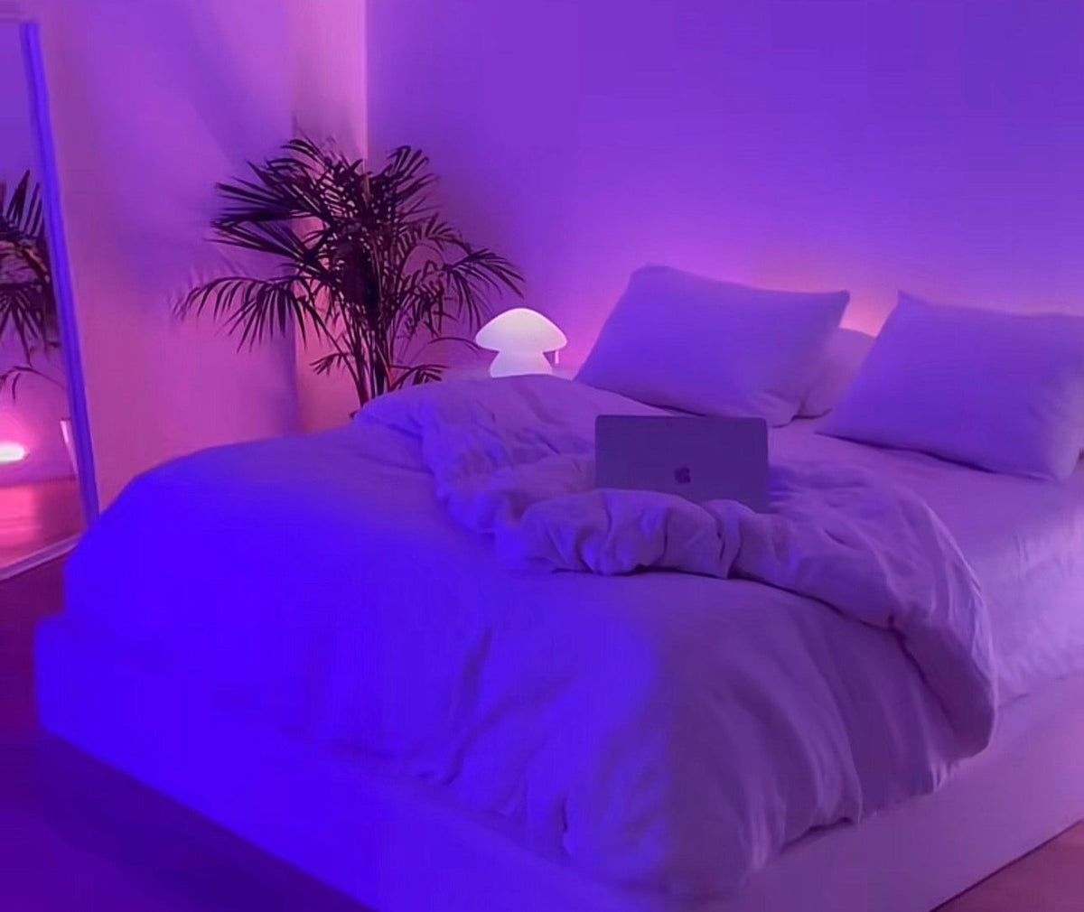 Room & Setup Lighting